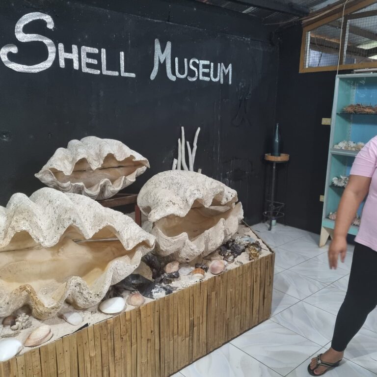 הצדפות הגדולות שאותרו אי פעם קבורות בסלע באי בוהול -התצוגה במוזיאוו הפרטי לצדפות שבאי