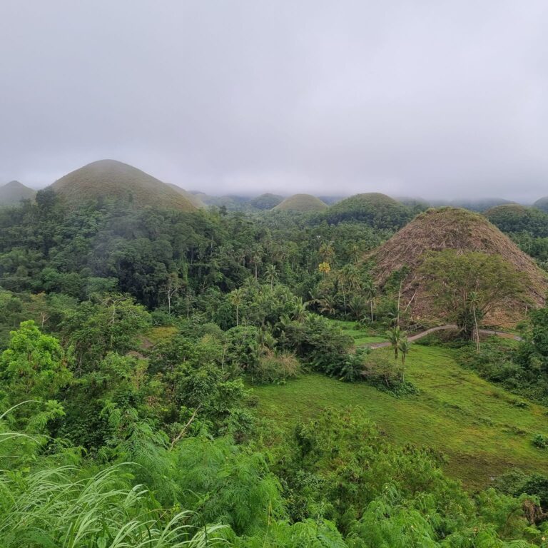 הרי-השוקולד באי בוהול פיליפינים