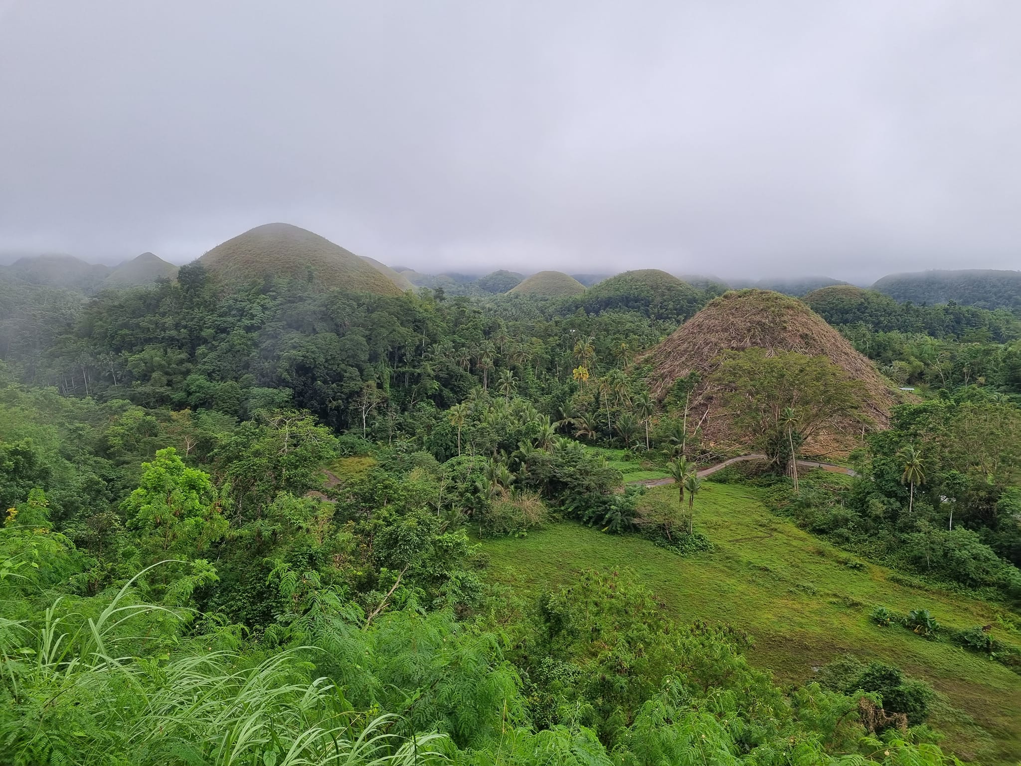 הרי-השוקולד באי בוהול פיליפינים