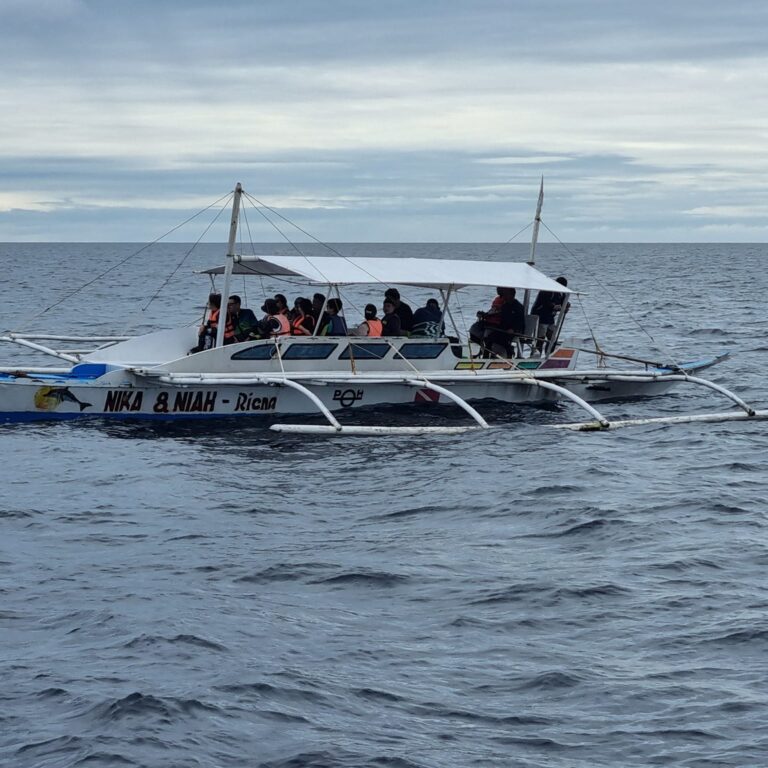 יוצאים לצפות בדולפינים ולצלילת שנורקלים בים די סוער בריף המקומי