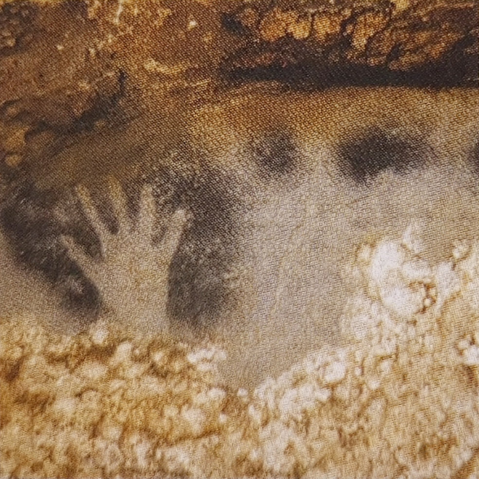 טביעת כף ידו של האדם הקדמון שלפני עשרות שנים צייר בעלי חיים על קירות מערת פש-מורל
