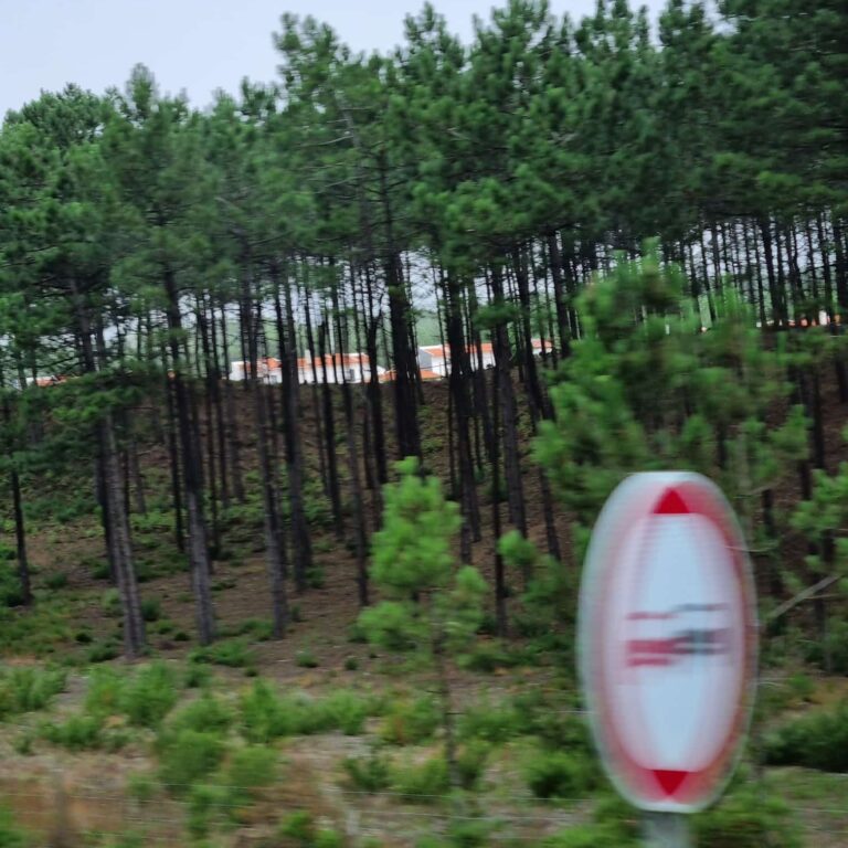 יערות עצי השעם בפורטוגל שהינה הספקית הגדולה למוצרי עצי השעם החל מפקקים וכלה בארנקים