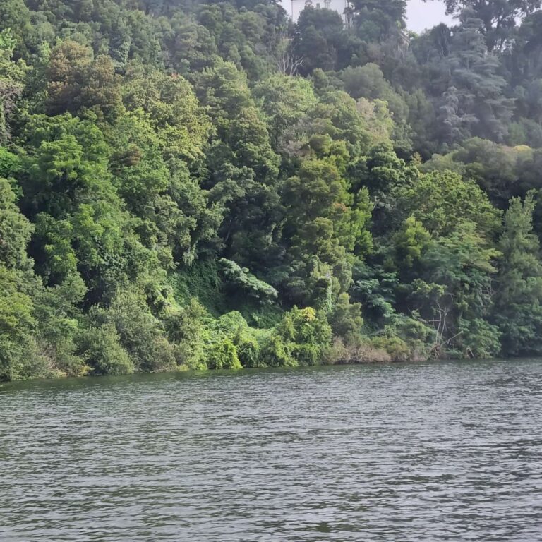 נהר הדוארו במלוא הדרו