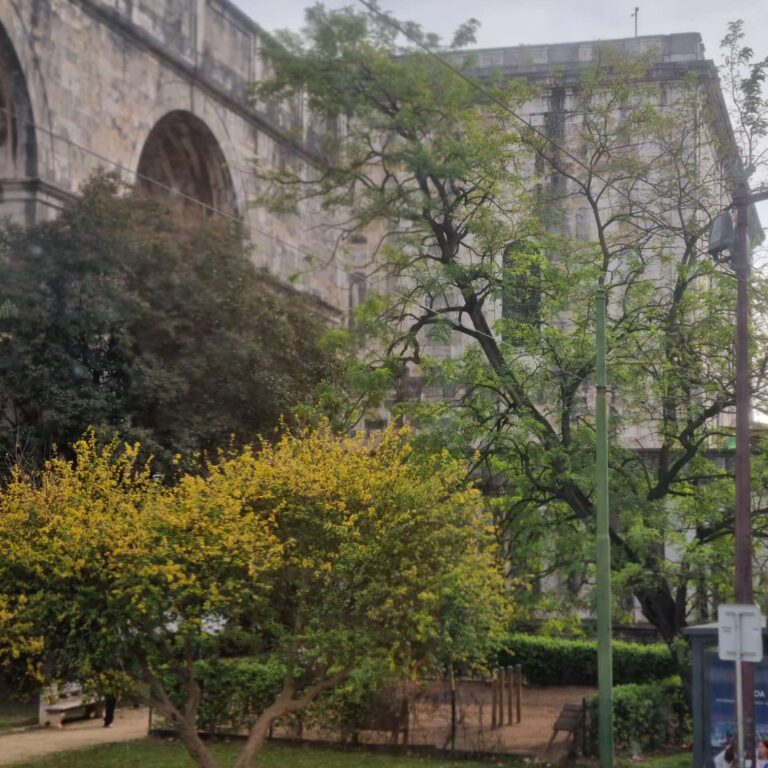 האקוודוקט המרשים שמספק עד היום מים לליסבון