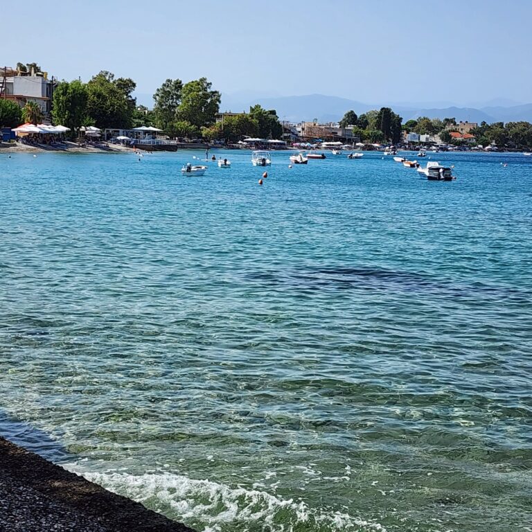 החופים הקסומים של הפילופנוסוס