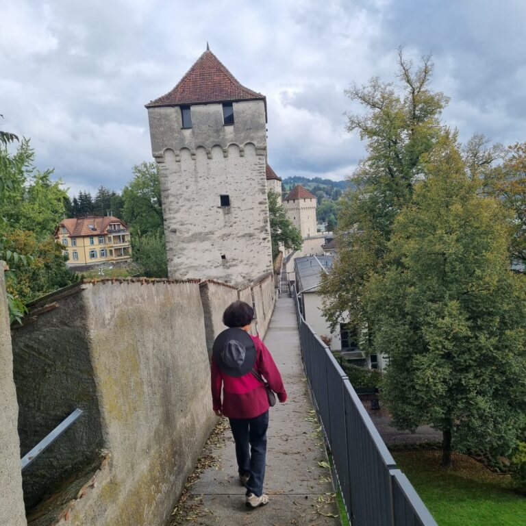 הליכה על חומת העיר העתיקה בשאפהאוזן