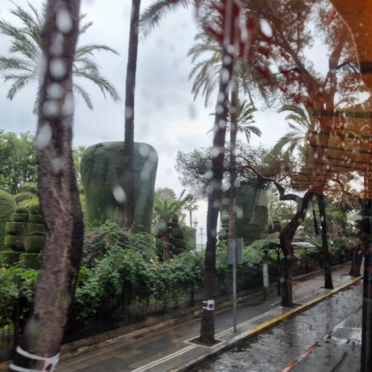 הפארק הבוטני של קאדיז