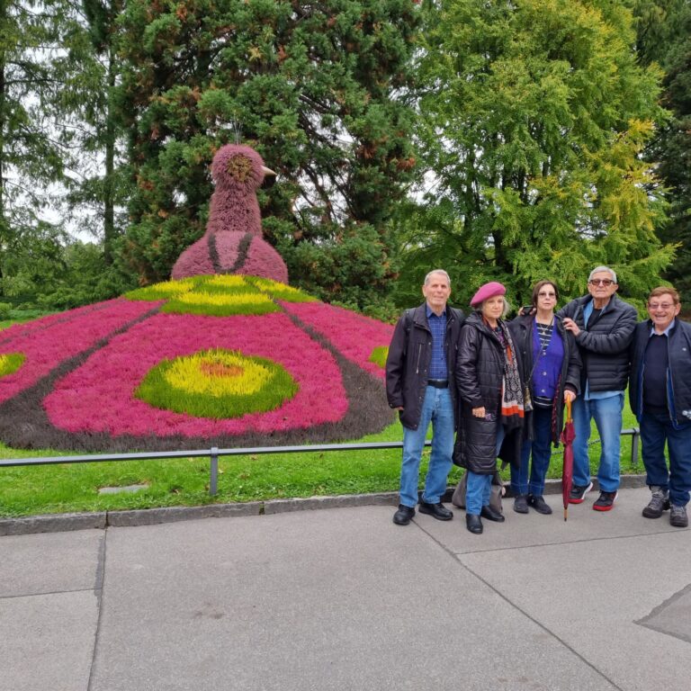 הפארק הקסום הנמצא על אי נופש ציבורי