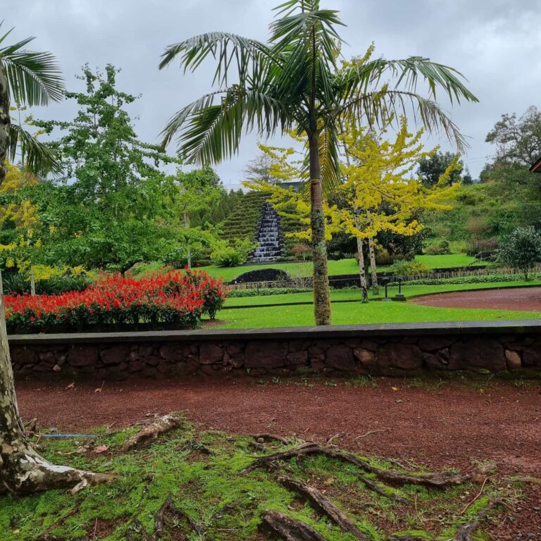 הצמחיה השופעת באי