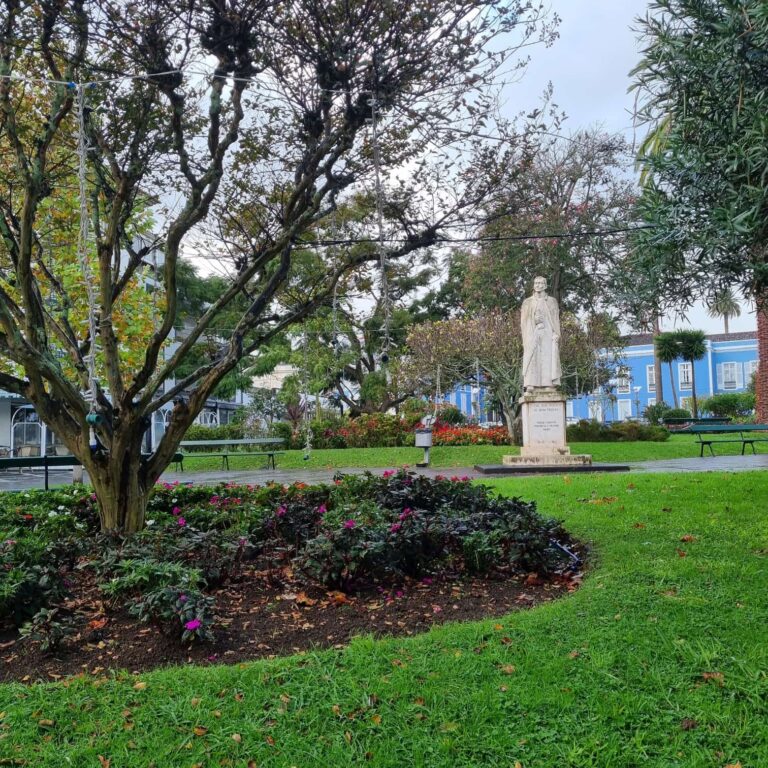 הצמחיה השופעת של האי המשווני