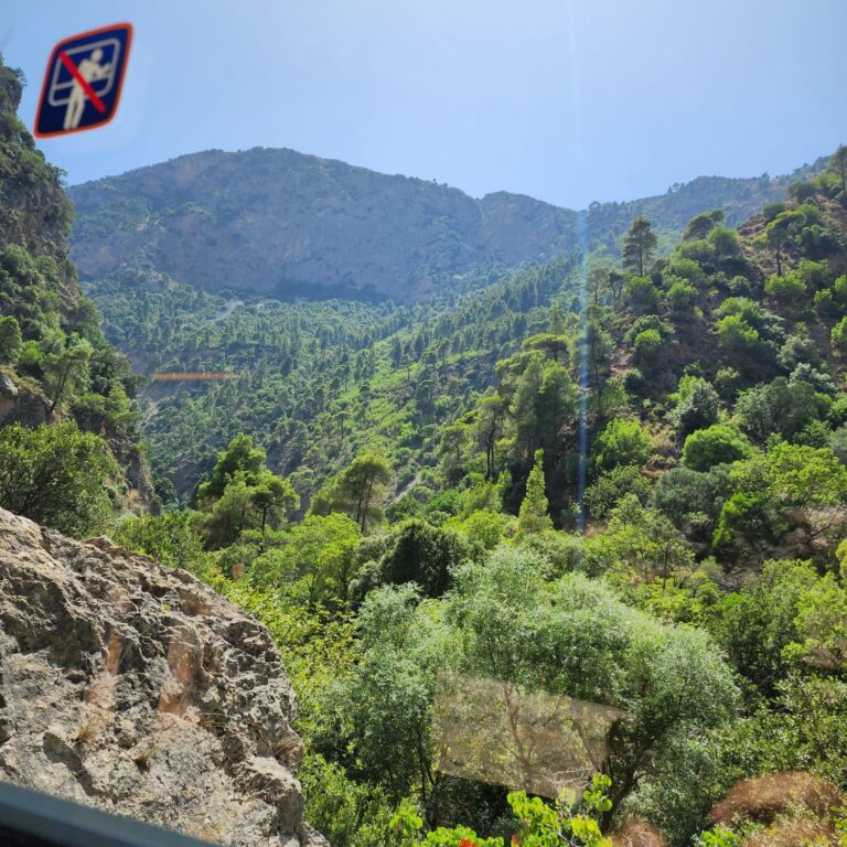 הרכבת המתנודדת הנוסעת בתוך הואדיות