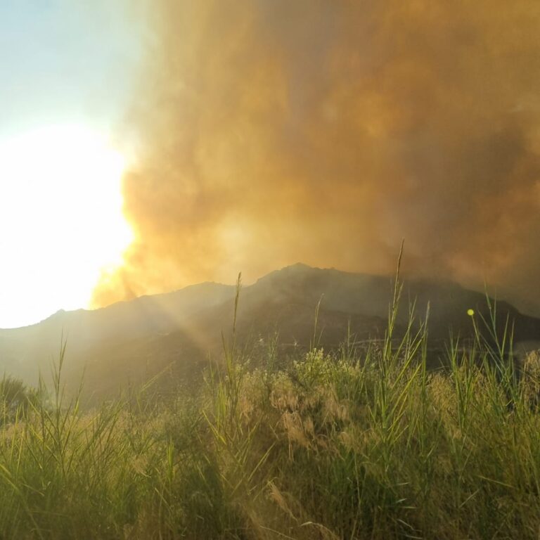 השריפה שפקדה אותנו בהרי הפילופונסוס