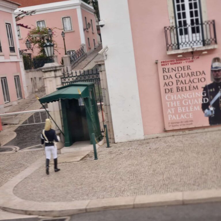 חיילים מקושטים שומרים על ארמון הנשיא הפורטוגזי
