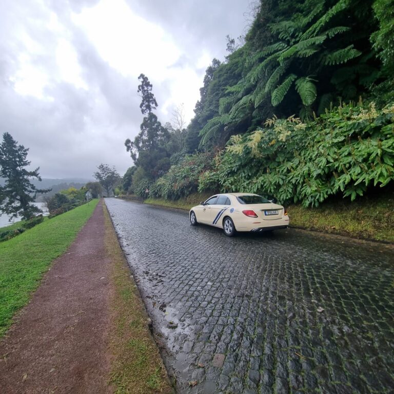 כלי הרכב שהסיע אותנו במרחבי פונטה דלגאדה