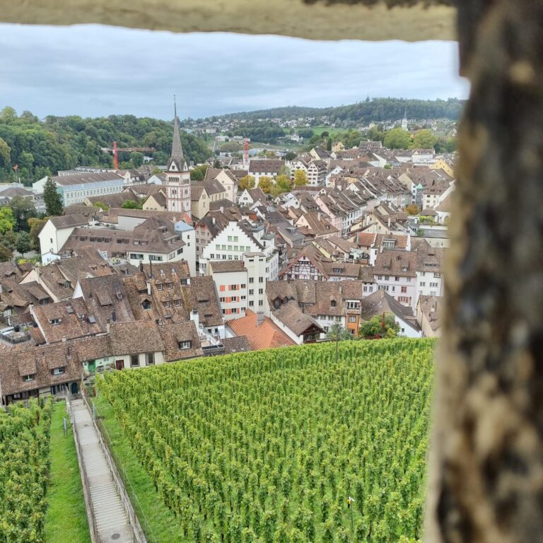 מבט על העיר מצריח המצודה