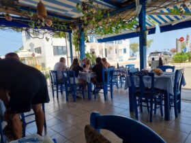 מסעדת דגים מקומית מעולה עם דגים שבבוקרנעוד שחו בים