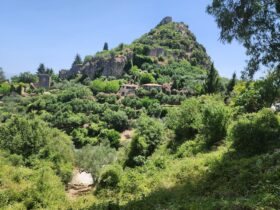 מראה של נוף מקומי