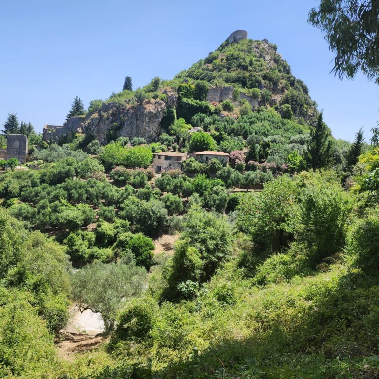 מראה של נוף מקומי