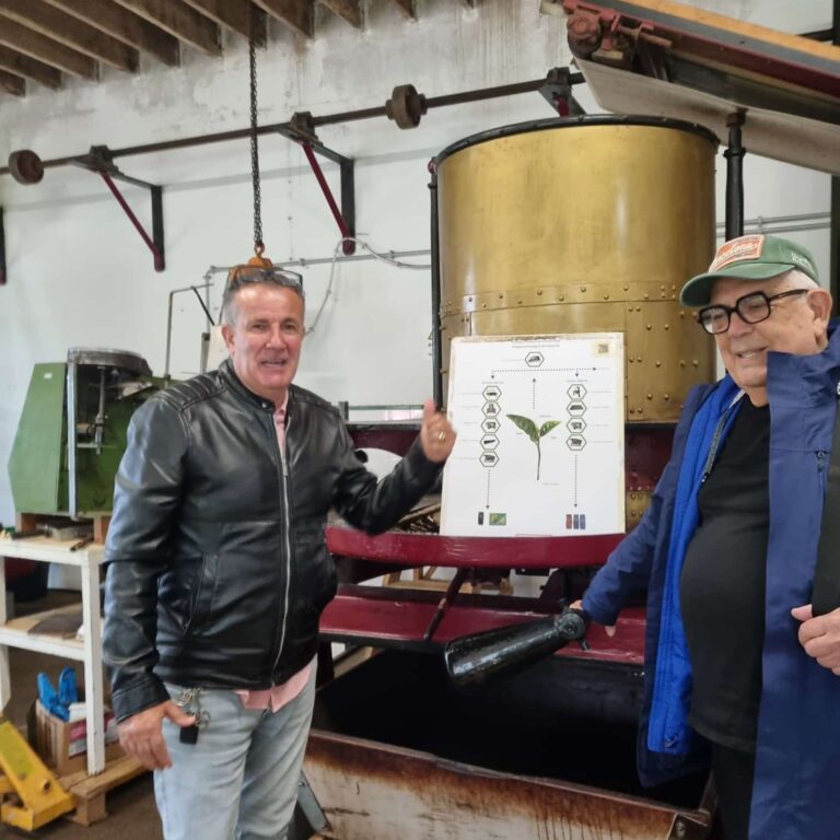 נהג המונית מדגים לנו את שלבי הכנת התה ליצוא של האי