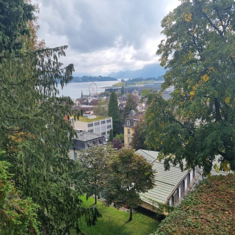 נופים שוויצרים