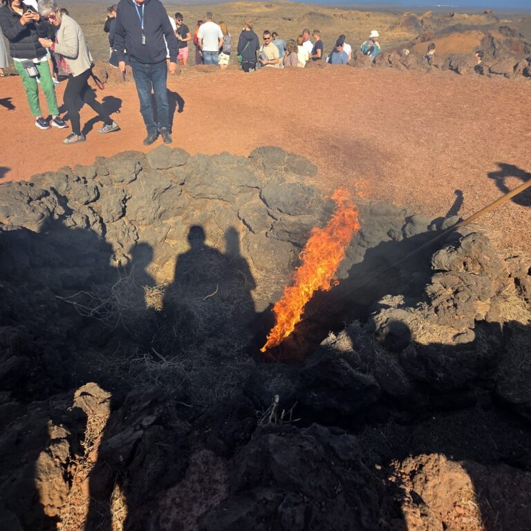הלהבה שעולה בבור כאשר זרדים מושלכים אליה
