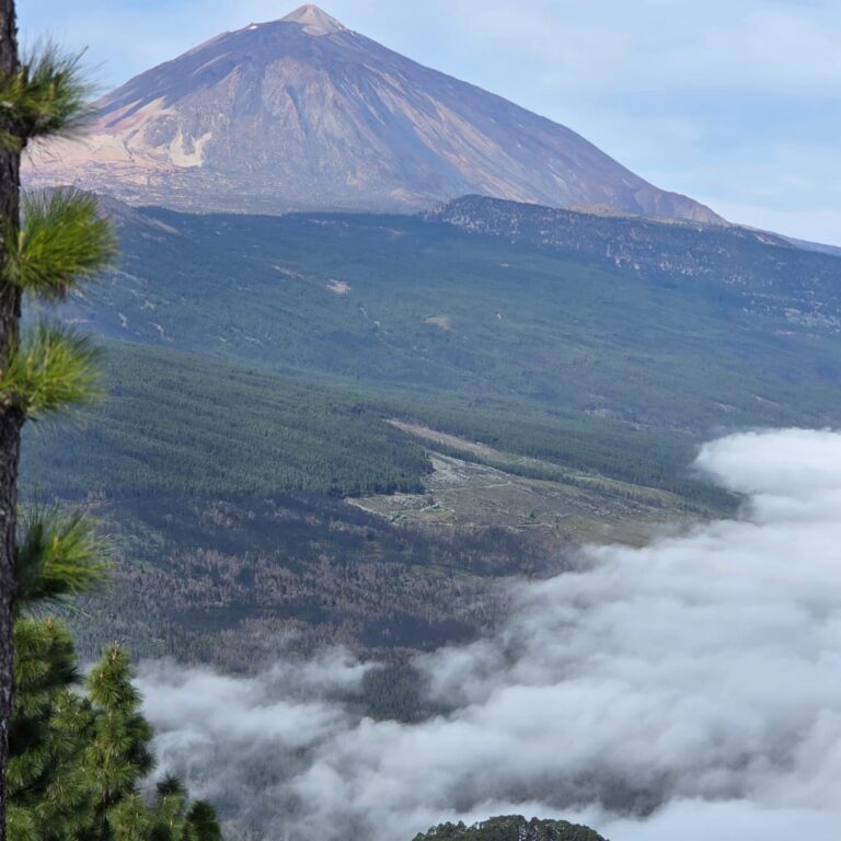 הקונוס של הר הגעש טיידה