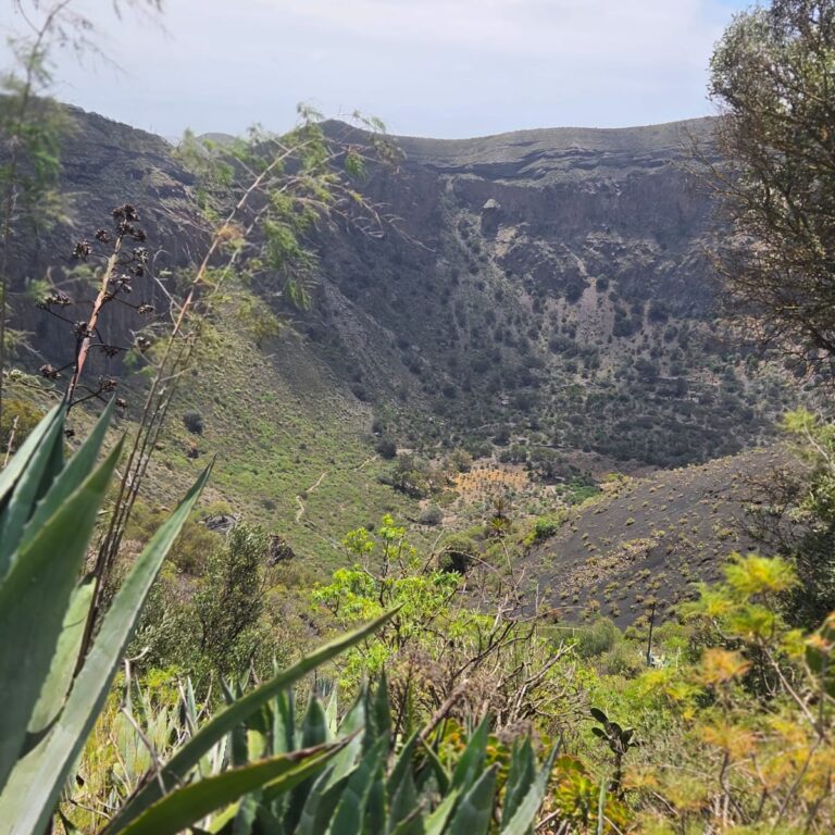 הקלדרה - הלוע של אחד מהרי הגעש בגראן קאנריה