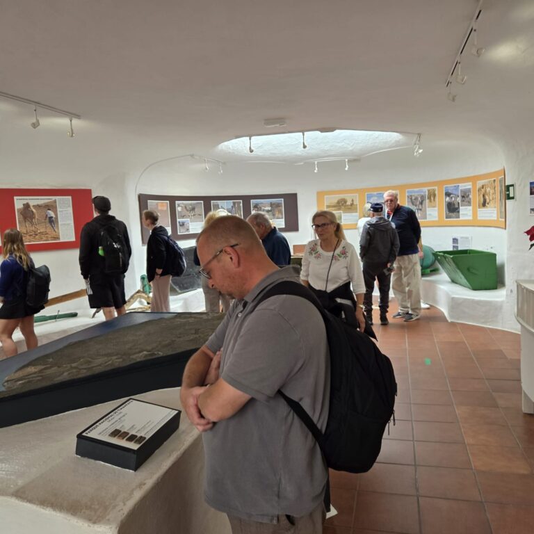 מוזיאון הוולקאני באי לנסרוט