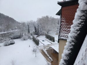 התעוררנו ליום מושלג